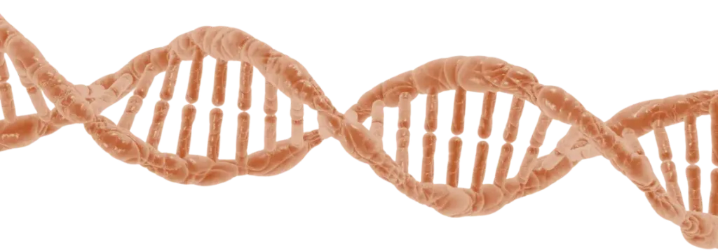 dna helix orange transparent background